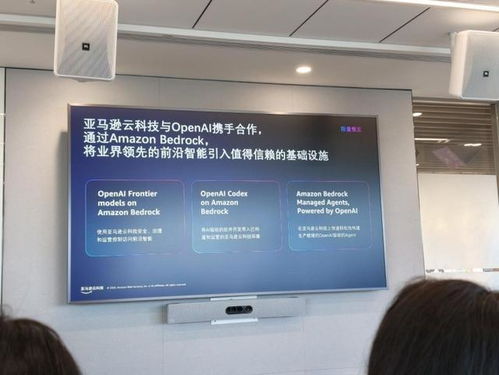 深耕Agentic AI賽道”，亞馬遜云科技如何用產品矩陣重構企業生產力？